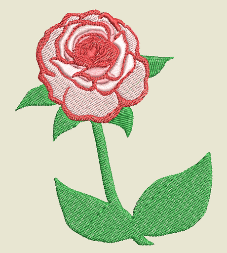 [F044] Rose